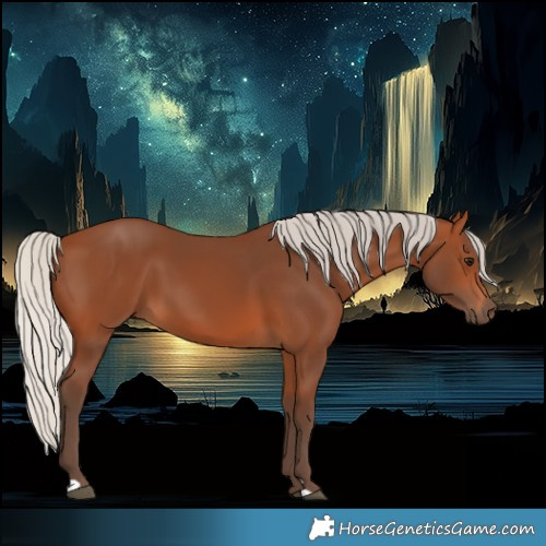 Horse Color:Silver Brown 