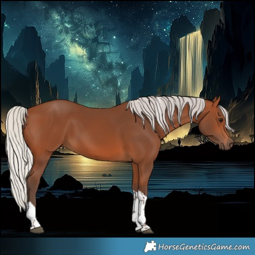 Horse Color:Silver Brown Tobiano 