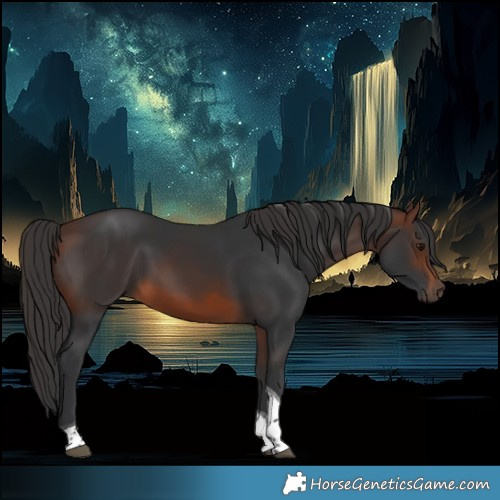 Horse Color:Brown Tobiano 