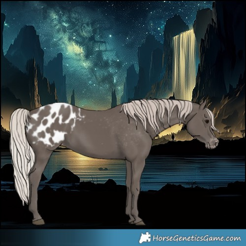 Horse Color:Silver Black Blanket