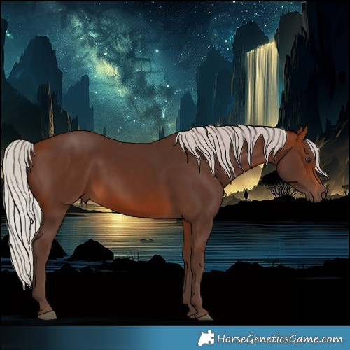 Horse Color:Silver Brown 