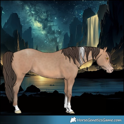 Horse Color:Amber Champagne Tobiano 