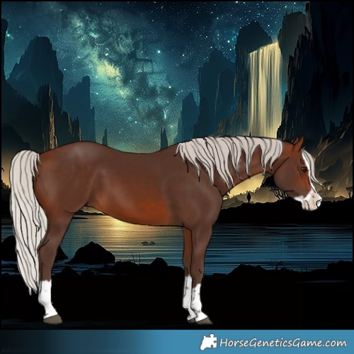 Horse Color:Silver Brown Splash 