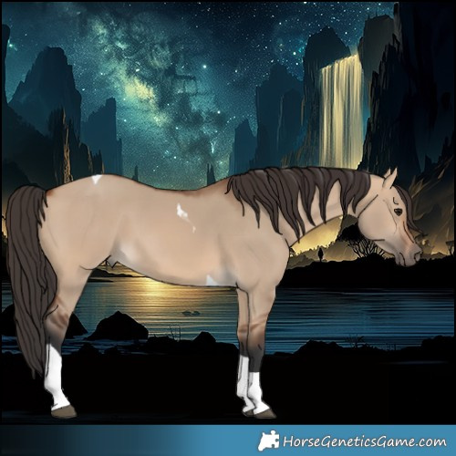 Horse Color:Bay Dun Tobiano 