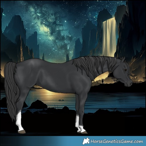 Horse Color:Black Tobiano 