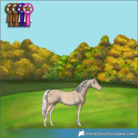 Horse Color:Cremello