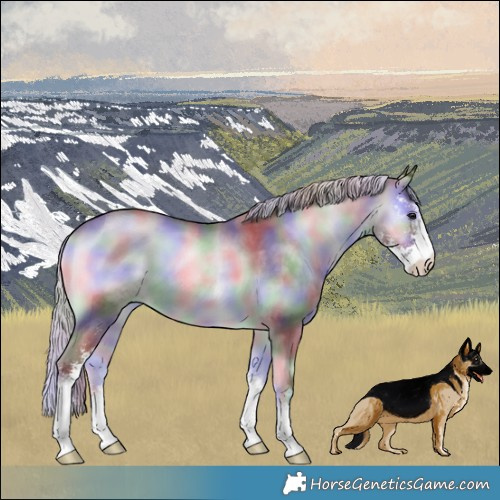 Horse Color:Nacre Chocolate Silver Blue Onyx Chinchilla Sabino