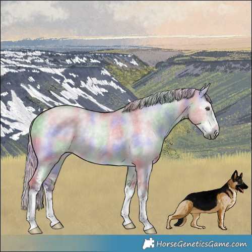 Horse Color:Nacre Chocolate Silver Grullo Chinchilla Sabino Rabicano 