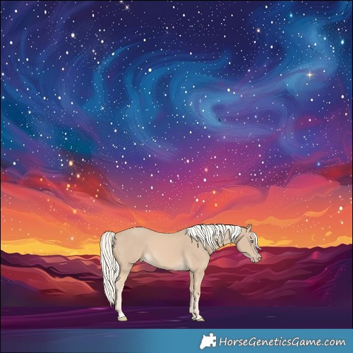 Horse Color:Cremello 