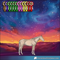 Horse Color:Cremello 
