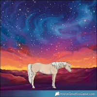 Horse Color:Cremello 