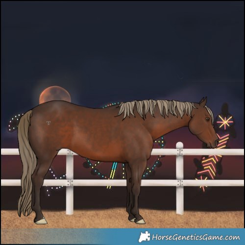 Horse Color:Liver Chestnut 