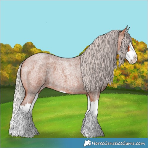 Horse Color:Silver Bay Roan Splash 