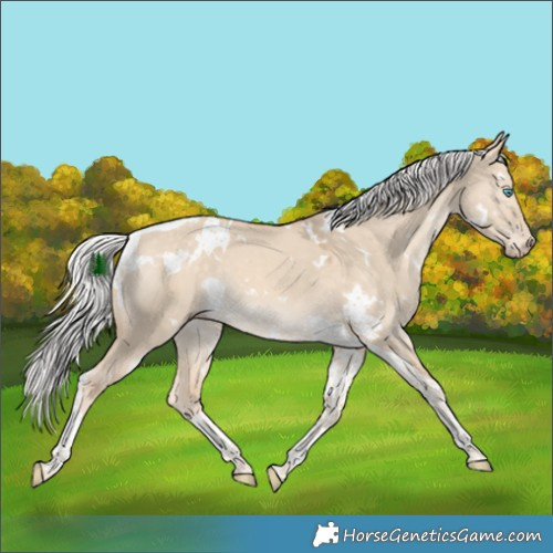 Horse Color:White Spotted Silver Perlino Dun Tobiano 