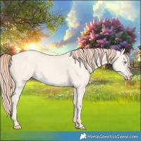 Horse Color:Perlino Dun 