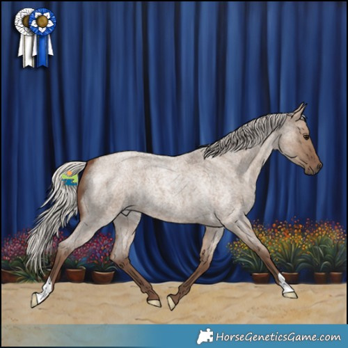 Horse Color:Silver Grullo Roan