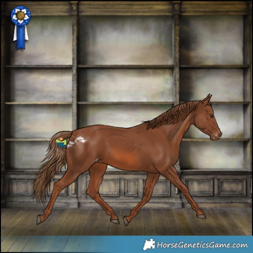 Horse Color:Chestnut Skewed LP Spotted 
