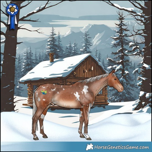 Horse Color:White Spotted Silver Bay Skewed LP Spotted 