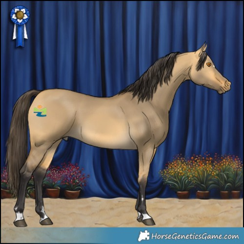 Horse Color:Buckskin Dun