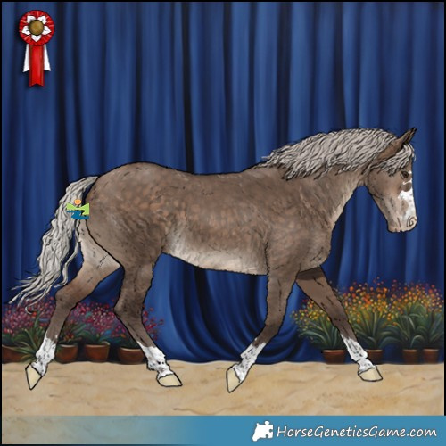 Horse Color:Silver Bay Dun Appaloosa