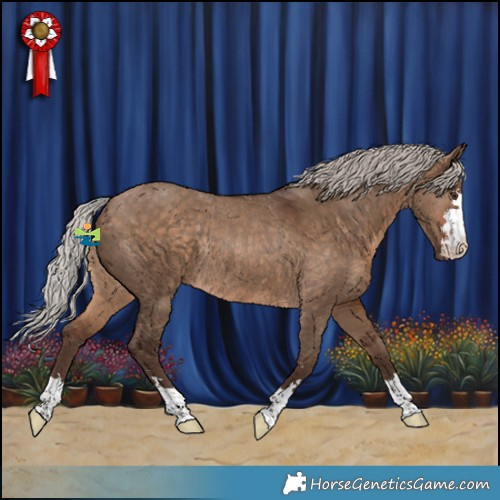 Horse Color:Silver Bay Dun Rabicano