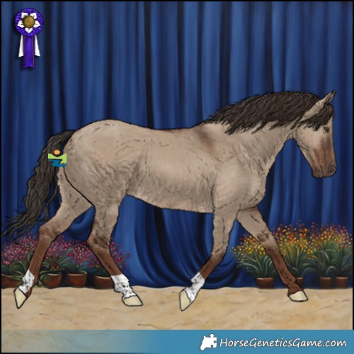 Horse Color:Liver Red Dun 