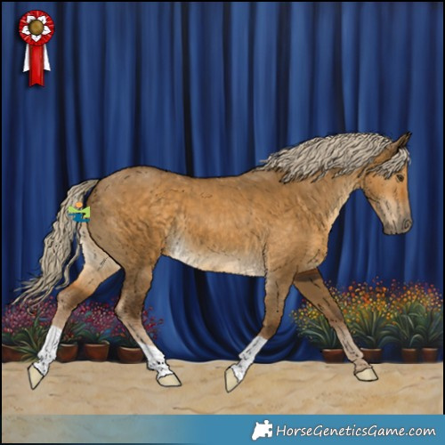 Horse Color:Chocolate Palomino Dun 
