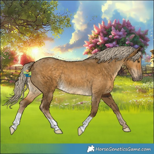 Horse Color:Chocolate Palomino Dun