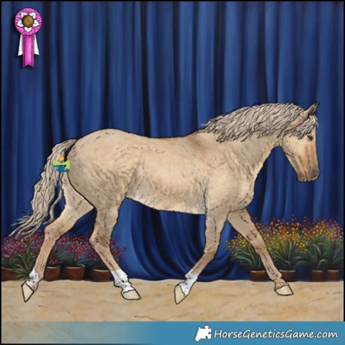 Horse Color:Chocolate Palomino Dun 