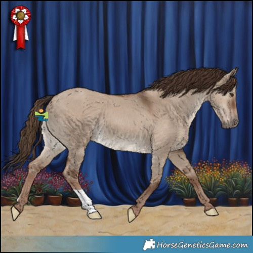 Horse Color:Liver Red Dun 