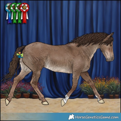 Horse Color:Liver Red Dun 
