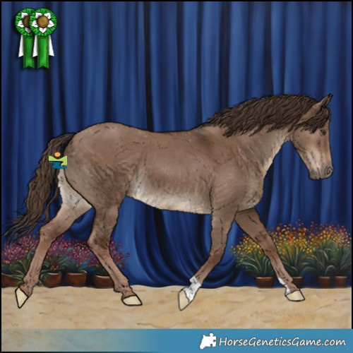 Horse Color:Liver Red Dun 