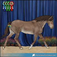 Horse Color:Liver Red Dun
