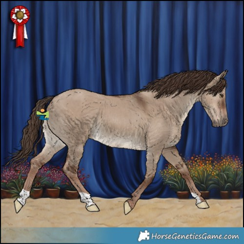 Horse Color:Liver Red Dun