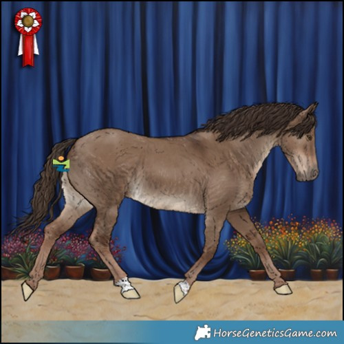 Horse Color:Liver Red Dun