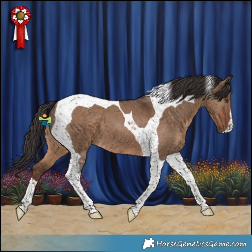Horse Color:Liver Red Dun Tobiano