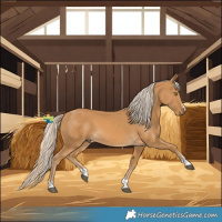 Horse Color:Pseudo Palomino 