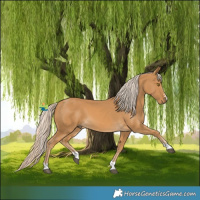 Horse Color:Pseudo Palomino