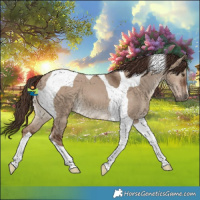 Horse Color:Liver Red Dun Tobiano