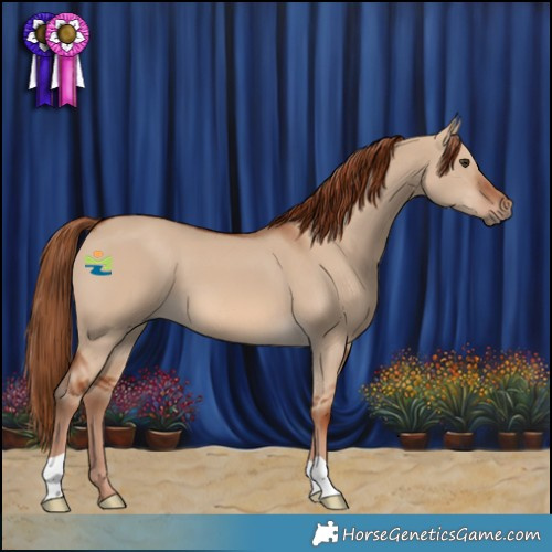 Horse Color:Red Dun
