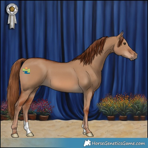 Horse Color:Red Dun