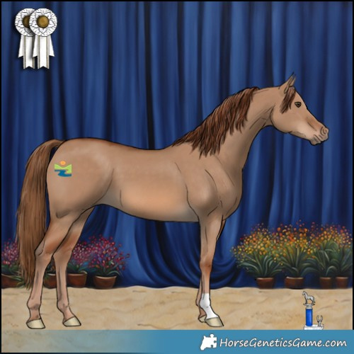 Horse Color:Red Dun 