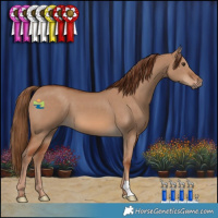 Horse Color:Red Dun