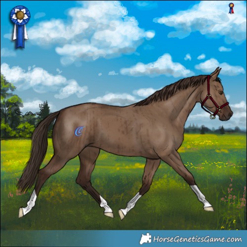 Horse Color:Liver Red Dun Brindle