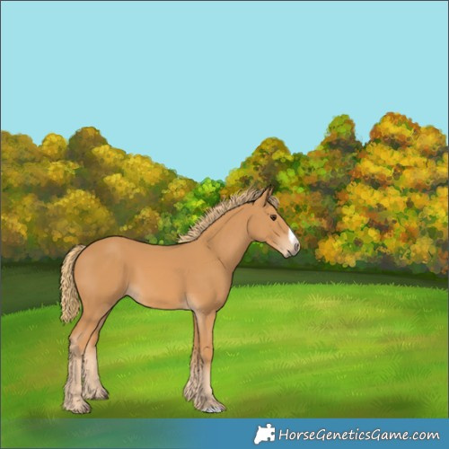 Horse Color:Chestnut Frame 