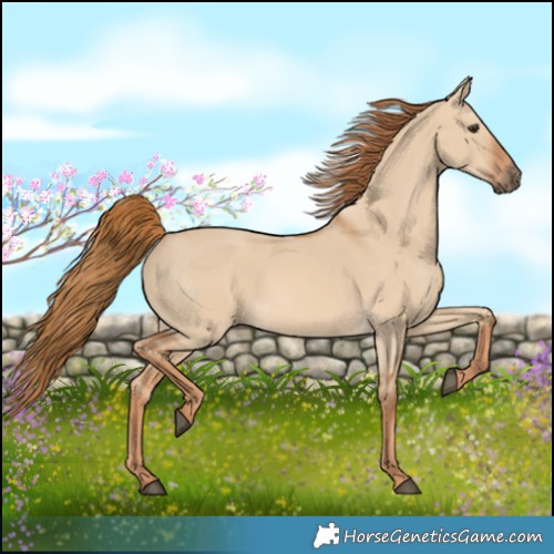 Horse Color:Red Dun 