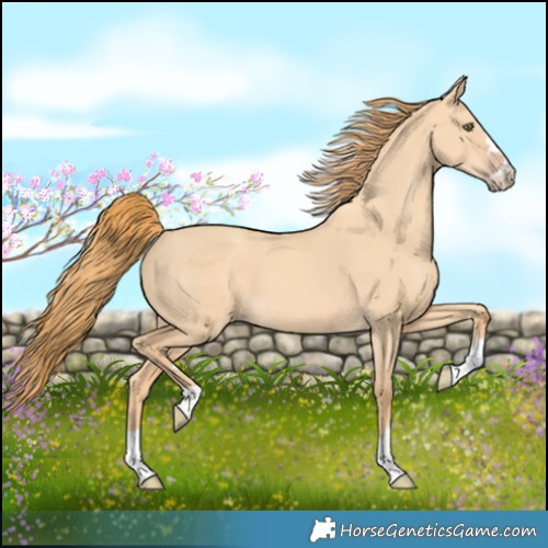 Horse Color:Gold Champagne Dun