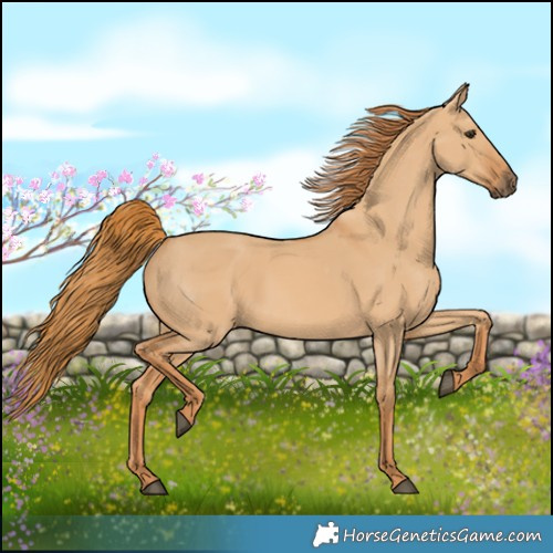 Horse Color:Red Dun
