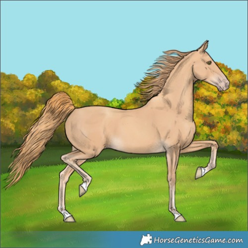 Horse Color:Gold Champagne 