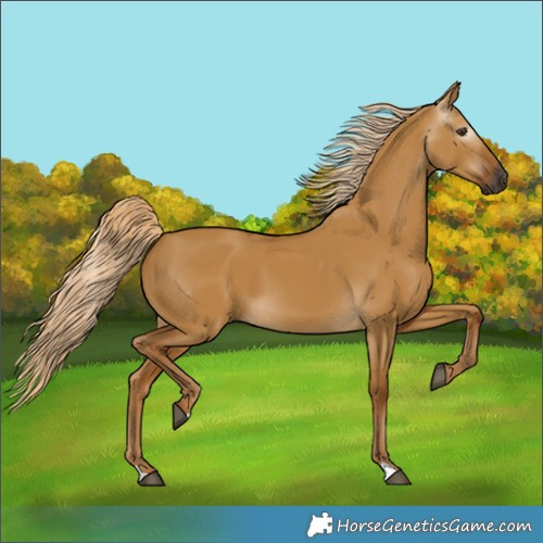 Horse Color:Gray Palomino Dun 